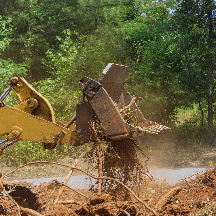 Arboricultural Services in Katy, TX